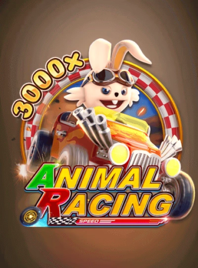 rt999 rt999